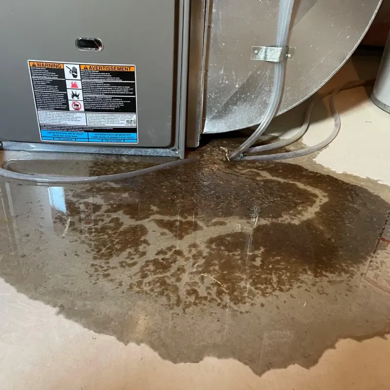 Appliance Leak Cleanup in Denton, MD